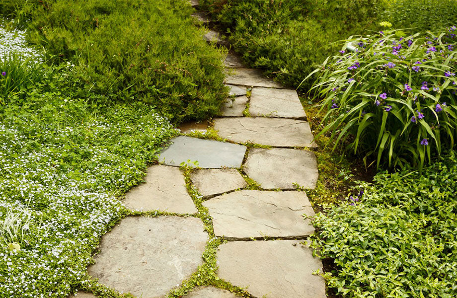 garden-path