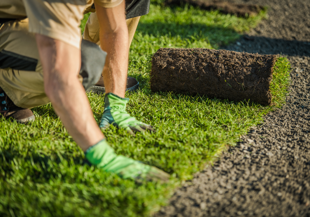 laying turf