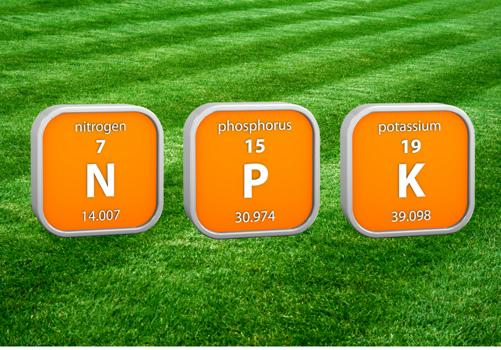 macronutrients for lawn