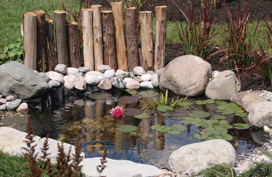 rock-pond