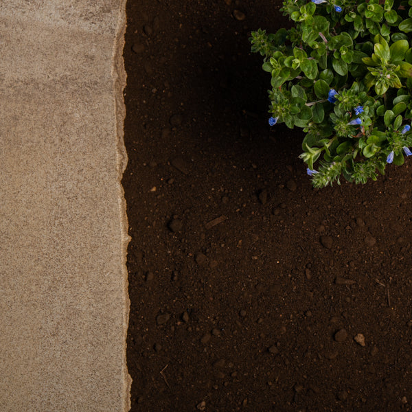 Soils