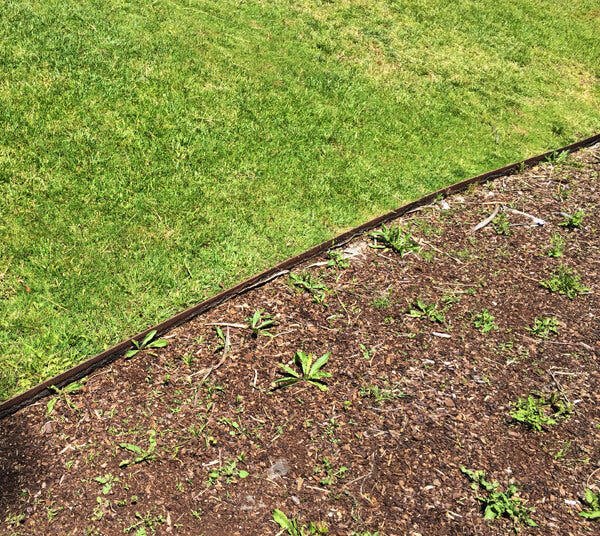 Metal Garden Edging