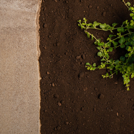 garden soil