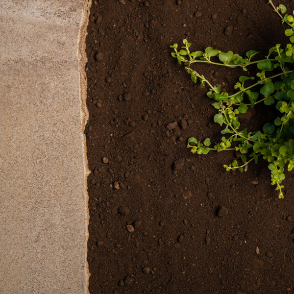 garden soil