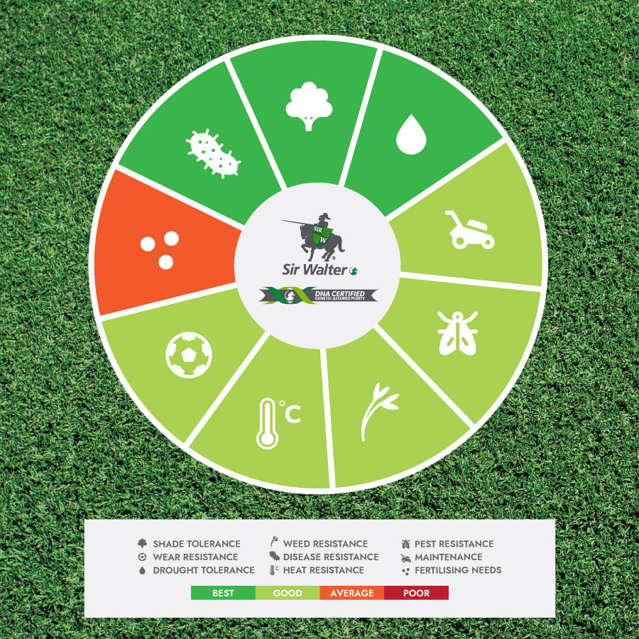200828-Turf-Products-1-sir-walter-wheel.jpg