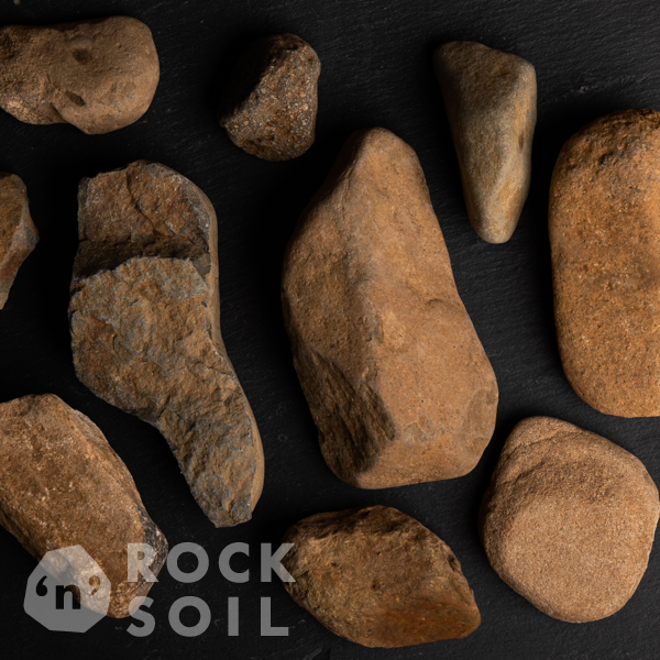 Autumn-Gold-30-80GEE_9907-watermarked.png
