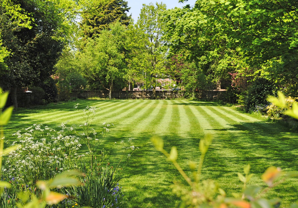 4 Spring Lawn Care Musts