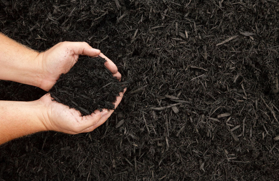image of pair of hands holding rich raven black cypress mulch for safe mulch