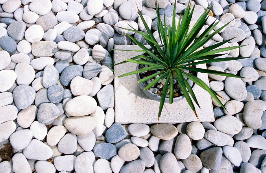 5 ways to use rocks to create a feature in your garden – Rock and Soil