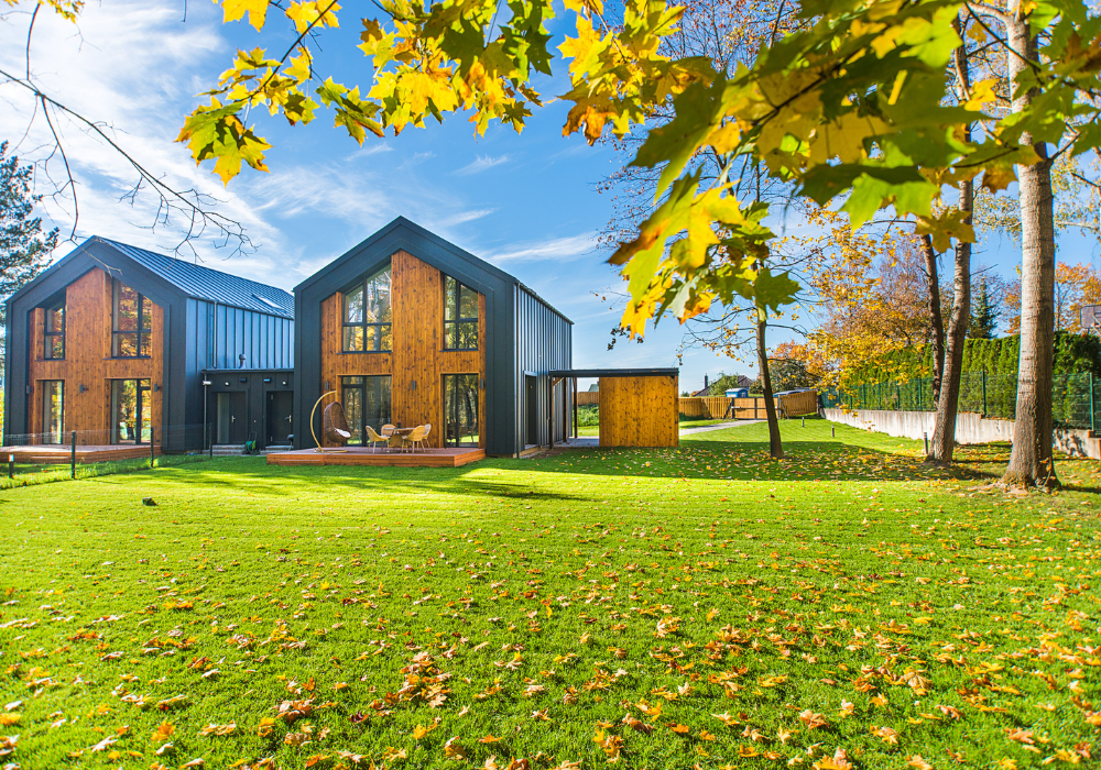 autumn lawn