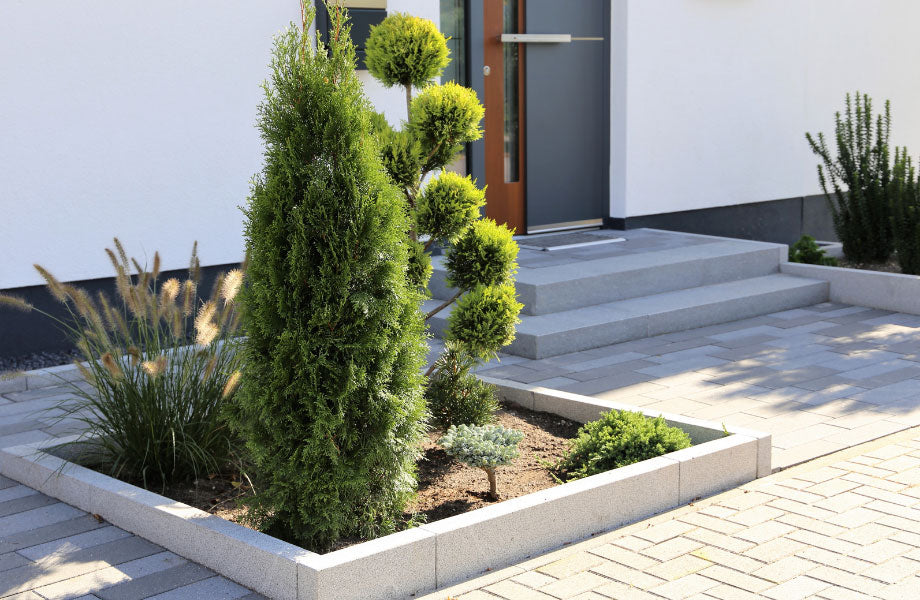 concrete-garden-edging-with-flora