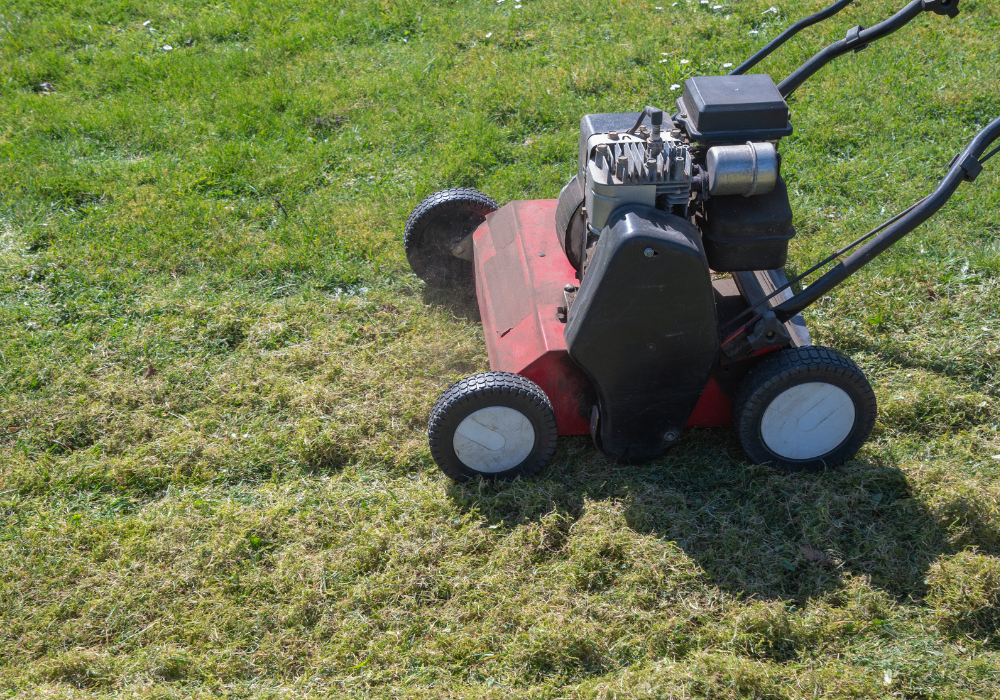 red mower on lawn