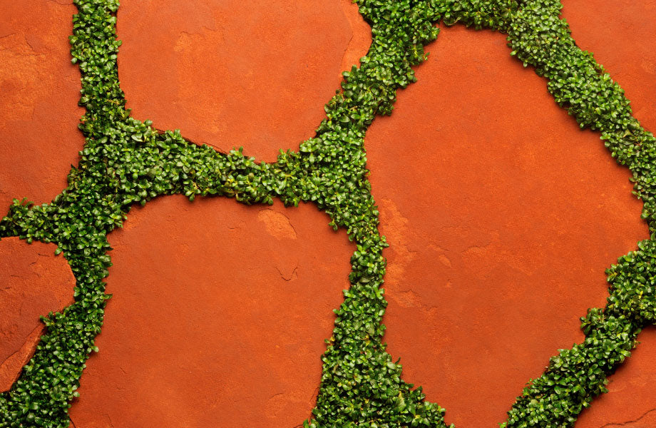 how-to-lay-stepping-stones-garden-stepping-stones