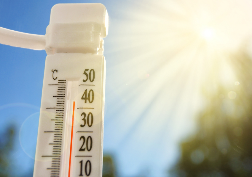 How to Help Your Lawn in Hot and Humid Weather – Rock and Soil