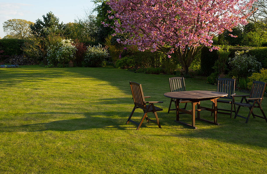 lawn and outdoor setting