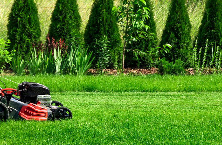 lawn-mower-mowing-turf