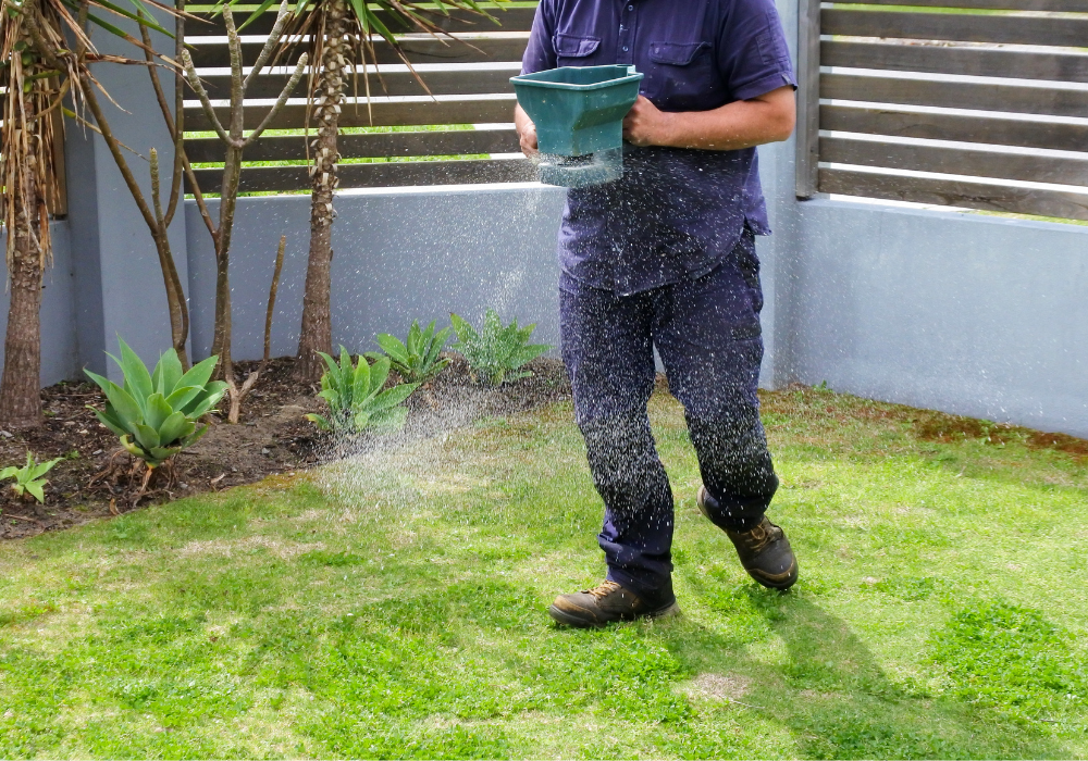 man fertilising lawn