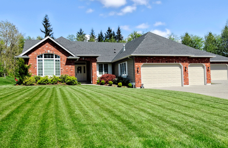 a perfectly manicured lawn in front of a brick home with a blue sky and pine trees behind for beginners guide to lawn care