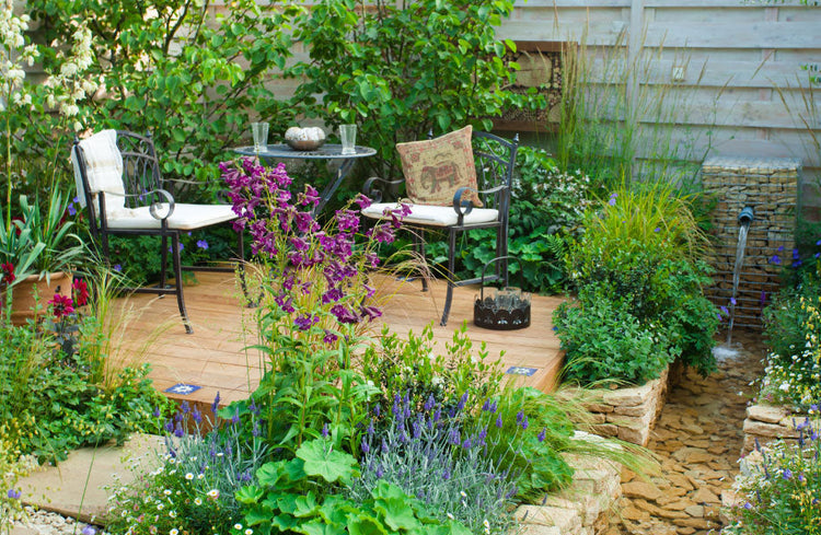 Beautiful plant filled courtyard for small courtyard ideas