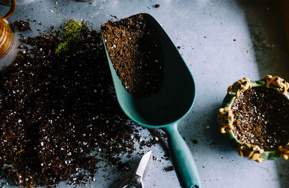 premium soil with trowel for what soil to use