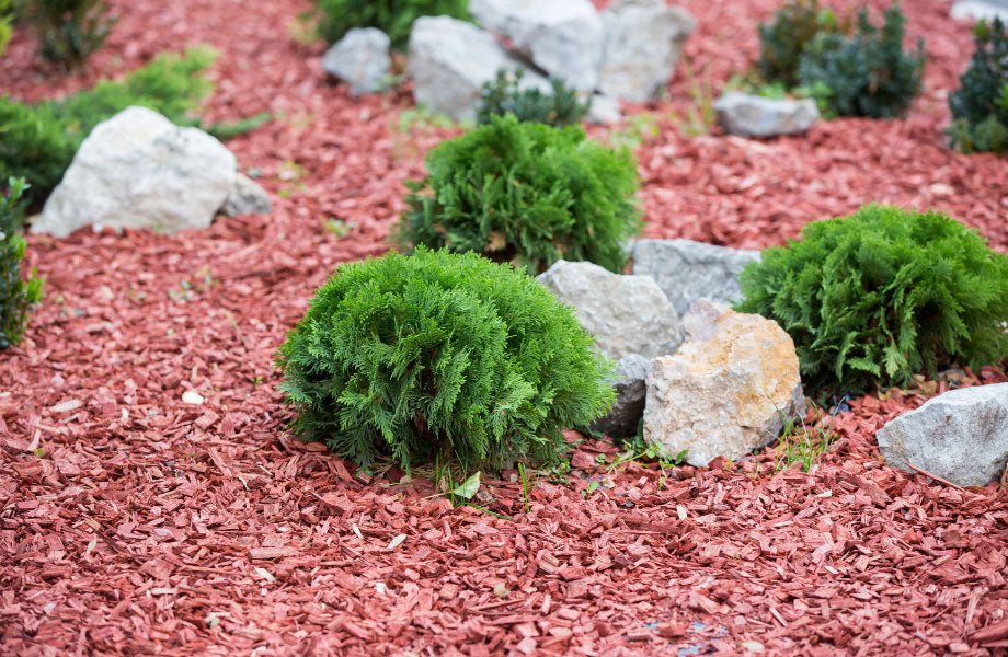 image of red mulch with pops of green plantings and grey rock for when should I mulch my garden