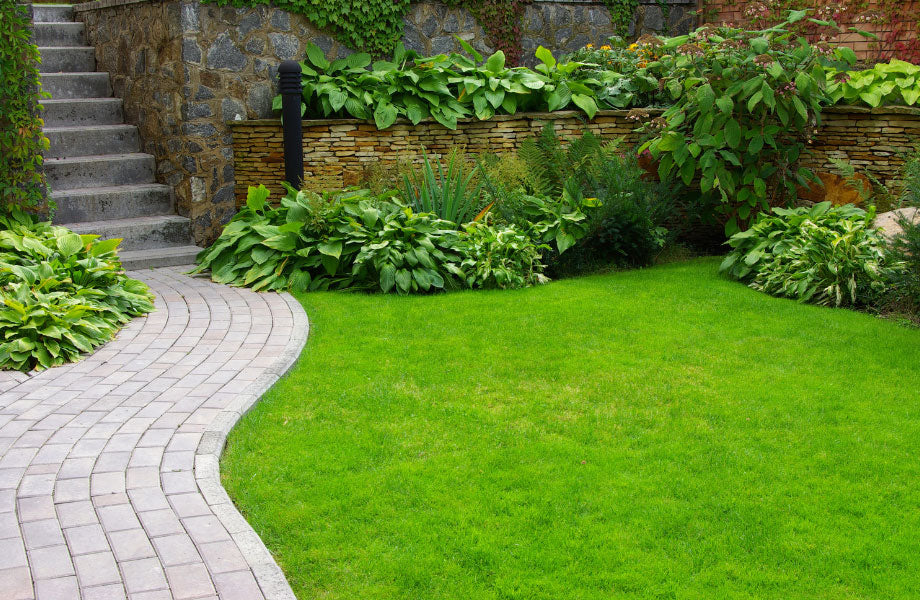 Image of winding path through green grass for relaxing outdoor spaces