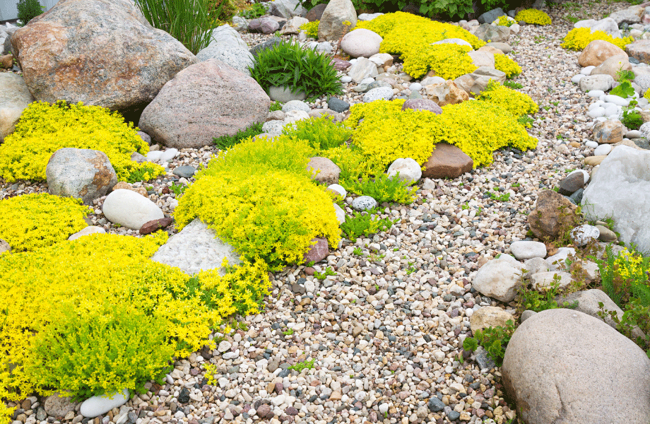 image of garden stone in a rock garden with pebbles, stones and yellow and green plantings