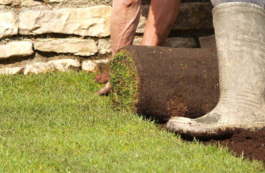 How to Lay Turf in Winter – Rock and Soil
