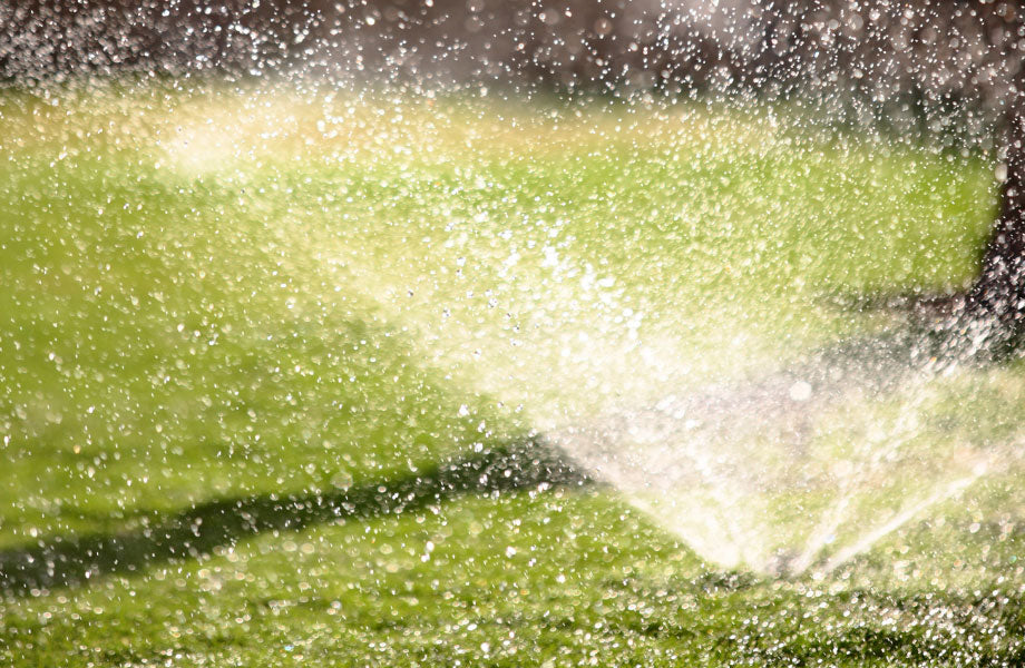 sprinklers watering turf for the best time of day to water lawn