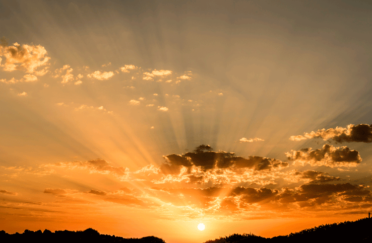 image of an orange sunset