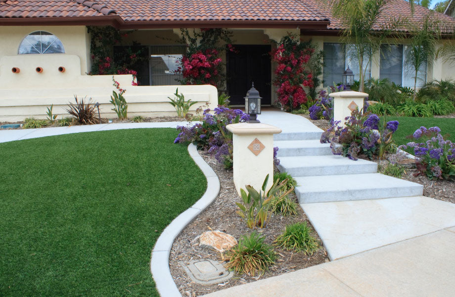 Winding path through vibrant green lawn for how to keep lawn green in winter