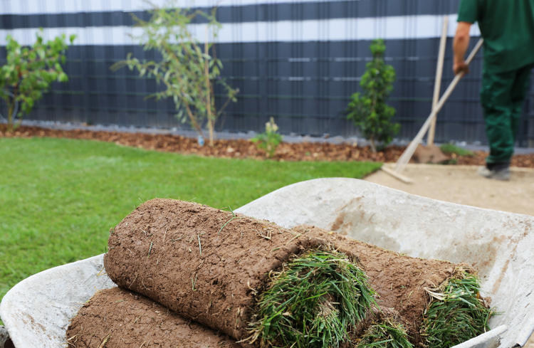 turf in a wheelbarrow
