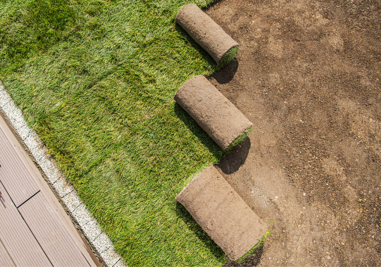 turf rolls
