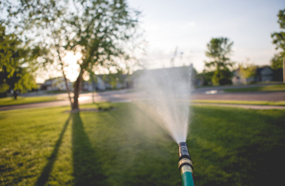 Image of hose watering a green lawn for how often should you water your lawn in winter