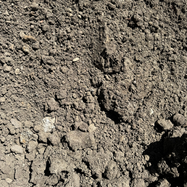 Unscreened fill soil from Rock and Soil, showing a mix of soil and small organic matter suitable for landscaping and construction.