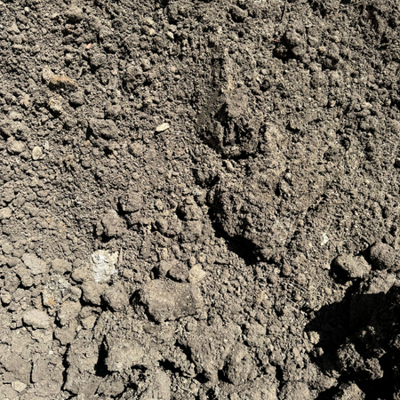 Unscreened fill soil from Rock and Soil, showing a mix of soil and small organic matter suitable for landscaping and construction.