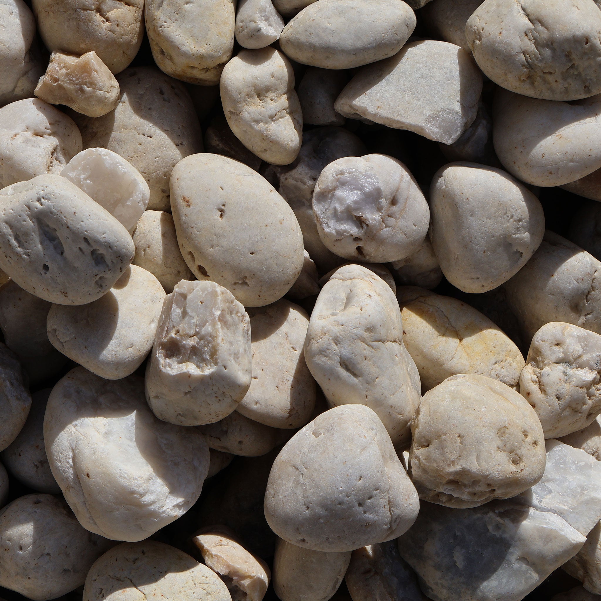 Close-up of light-colored pebbles and stones