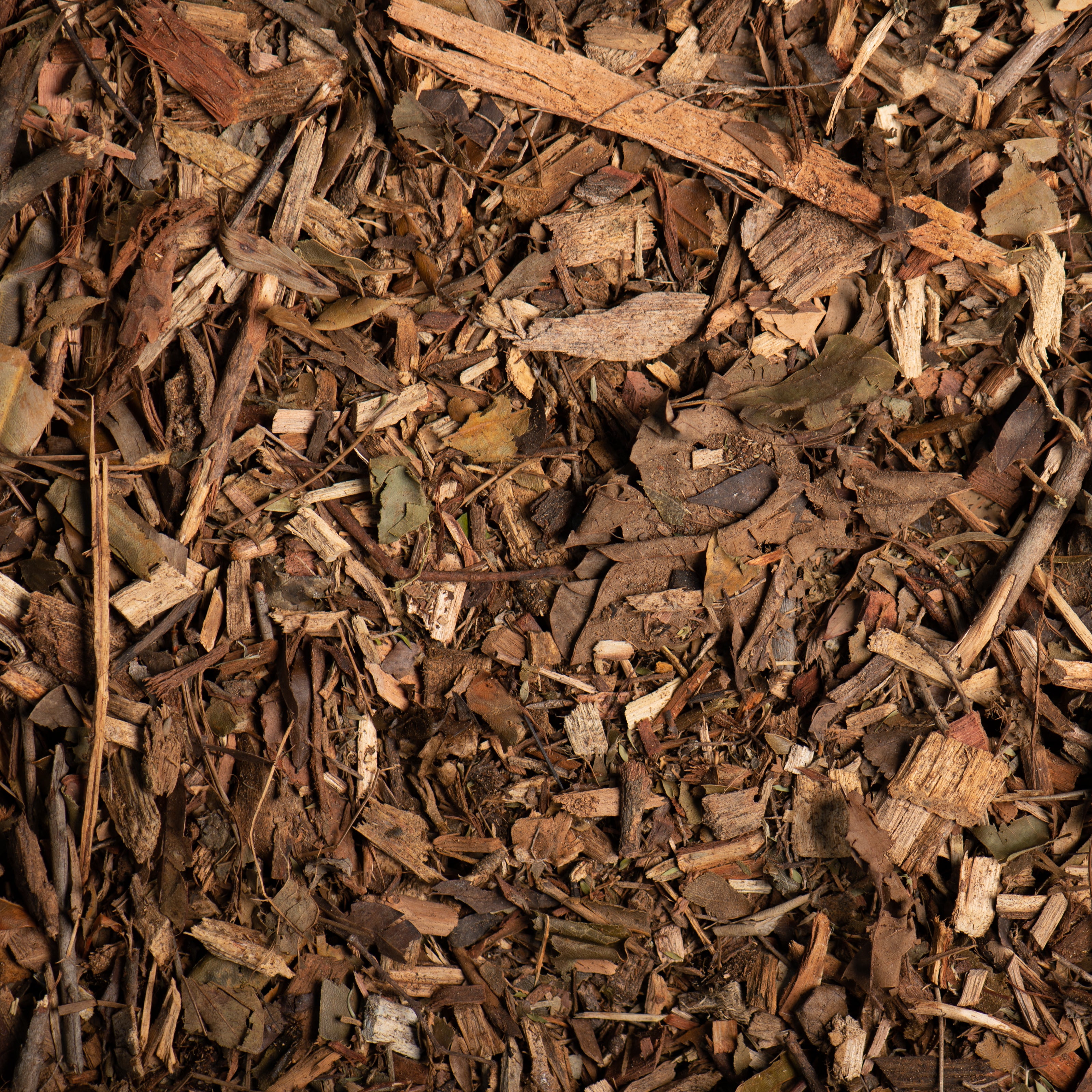 Close-up of wood chips and twigs