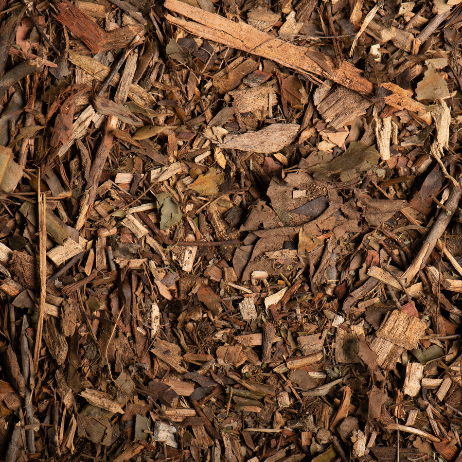 Close-up of wood chips and twigs