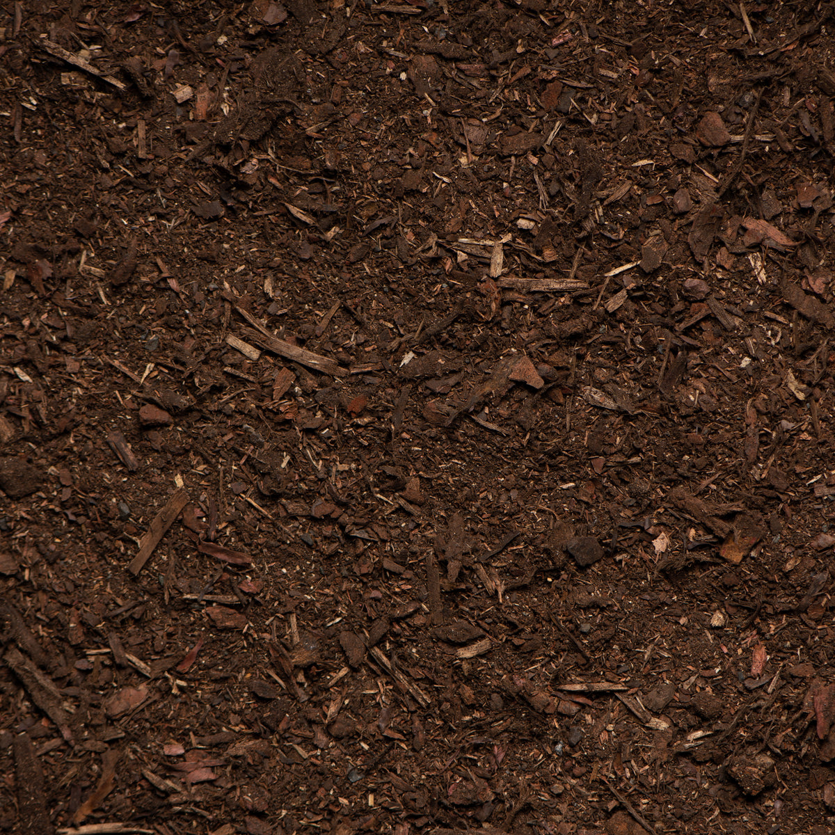 Close-up of dark brown compost or soil with visible organic matter