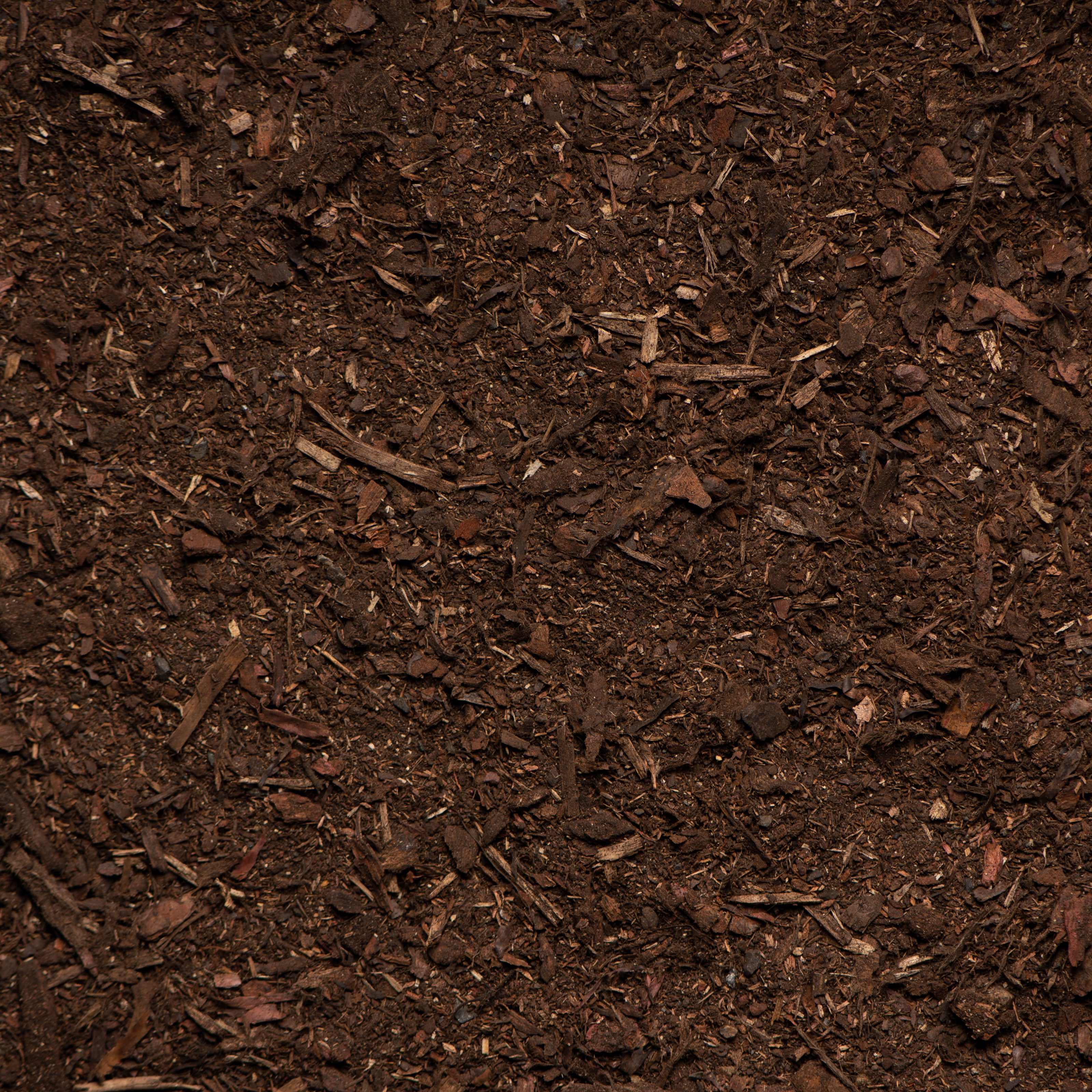 Close-up of dark brown compost or soil with visible organic matter