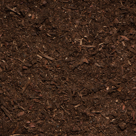 Close-up of dark brown compost or soil with visible organic matter