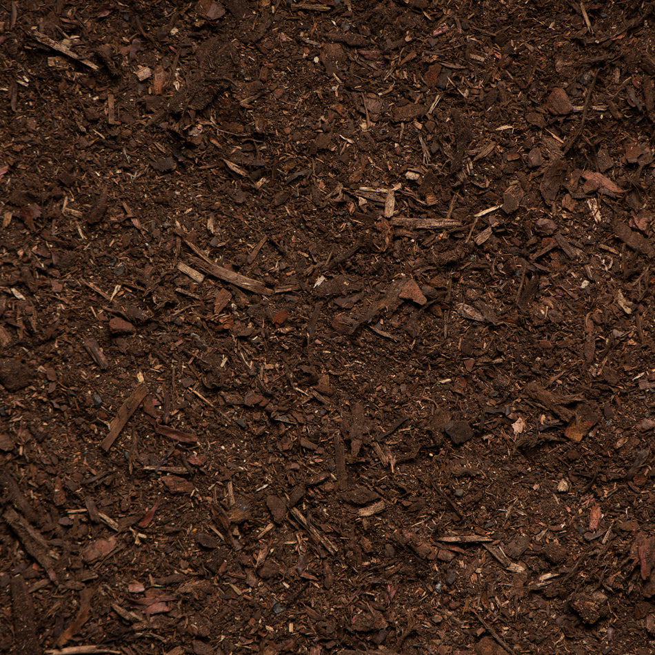 Close-up of dark brown compost or soil with visible organic matter