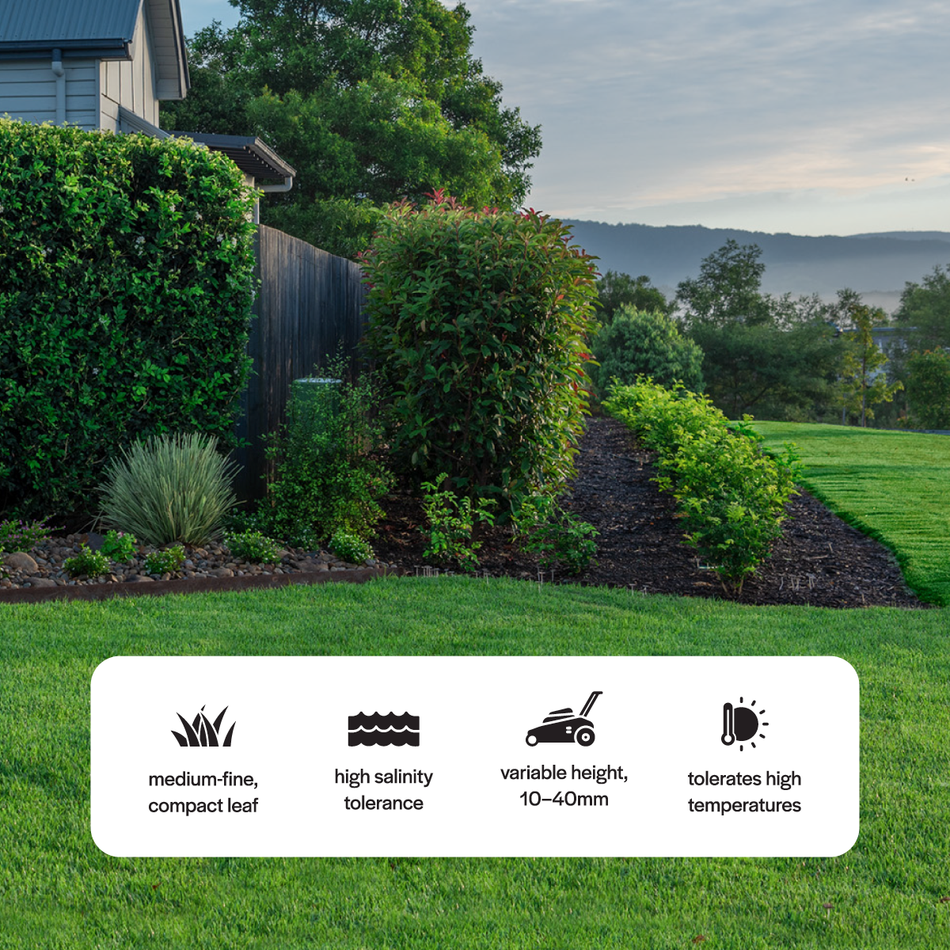 Lush green garden with shrubs and a house in the background, featuring icons and text about grass characteristics.