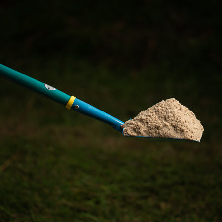 metal shovel holding sand on a grassy background