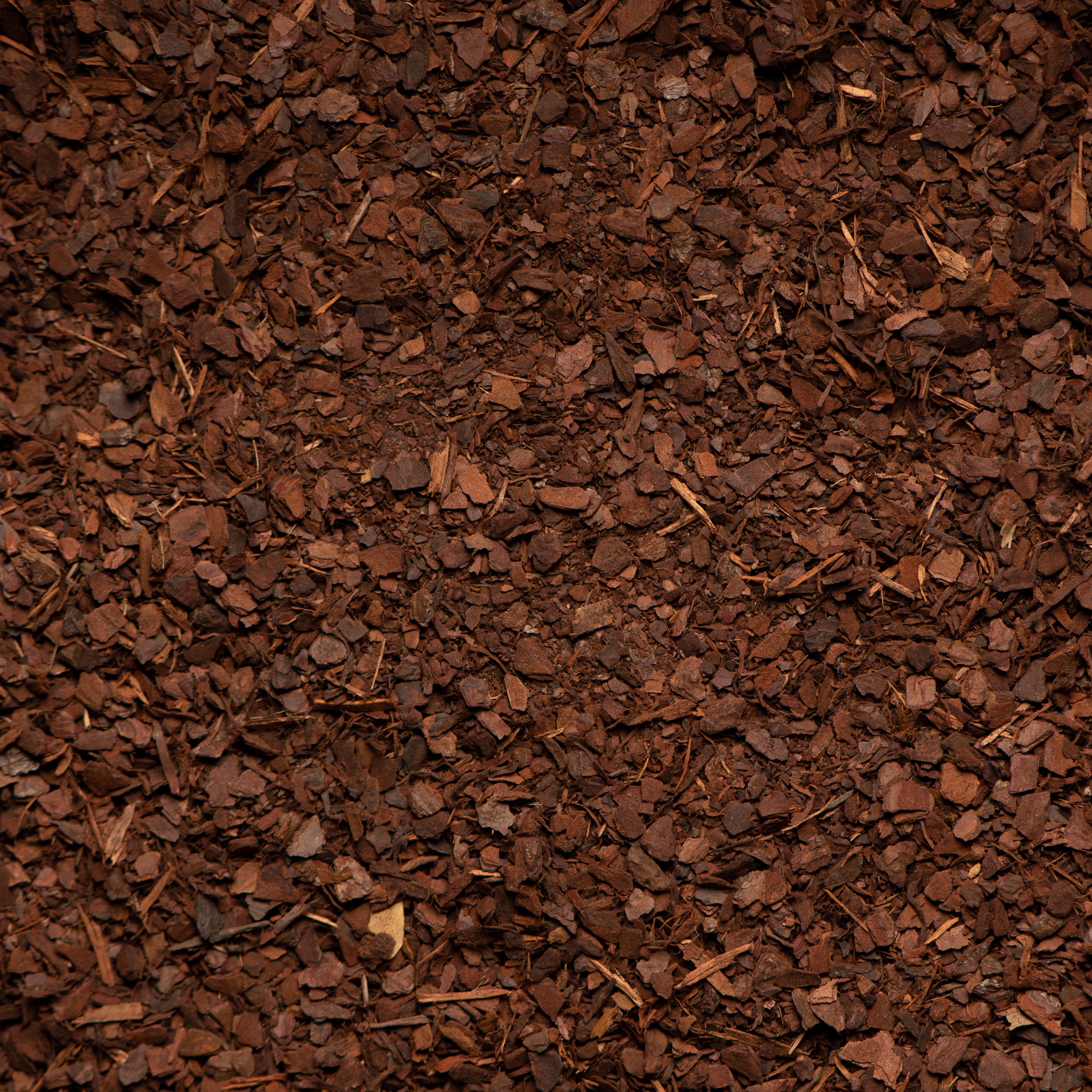 Close-up of brown mulch or compost