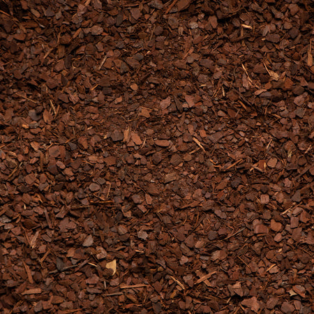 Close-up of brown mulch or compost