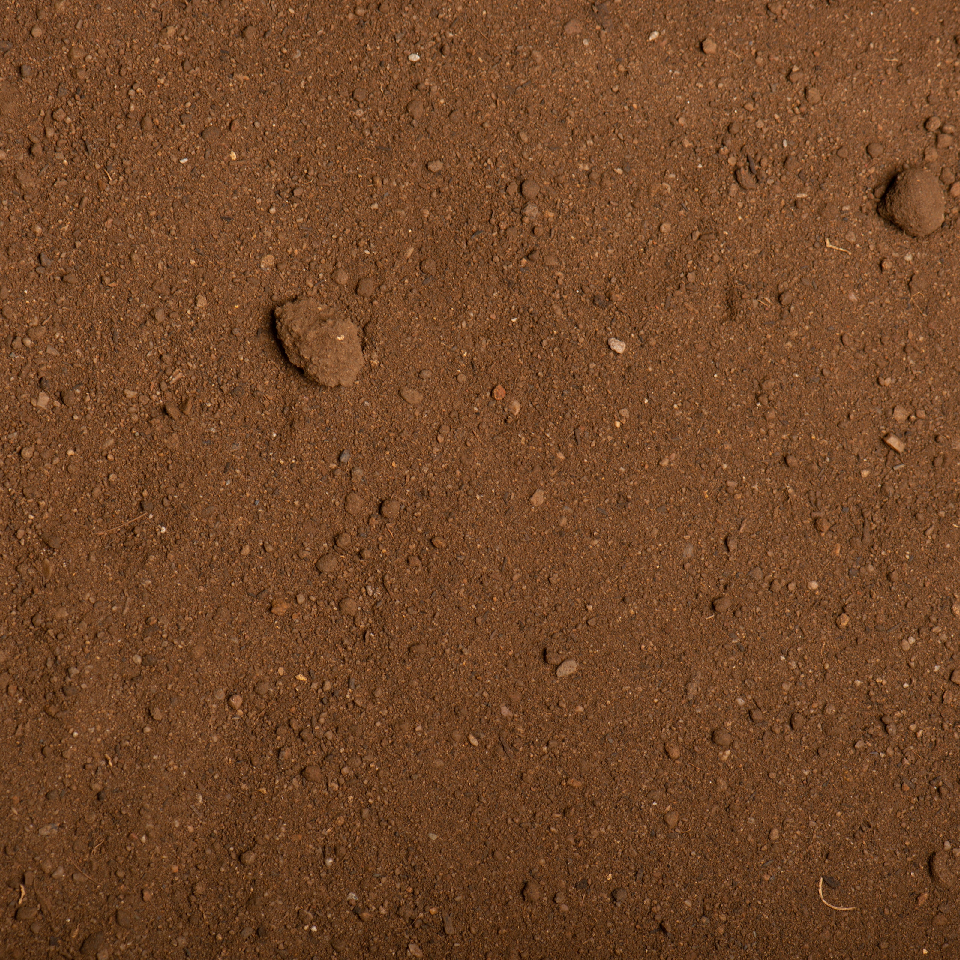 Close-up of brown soil texture