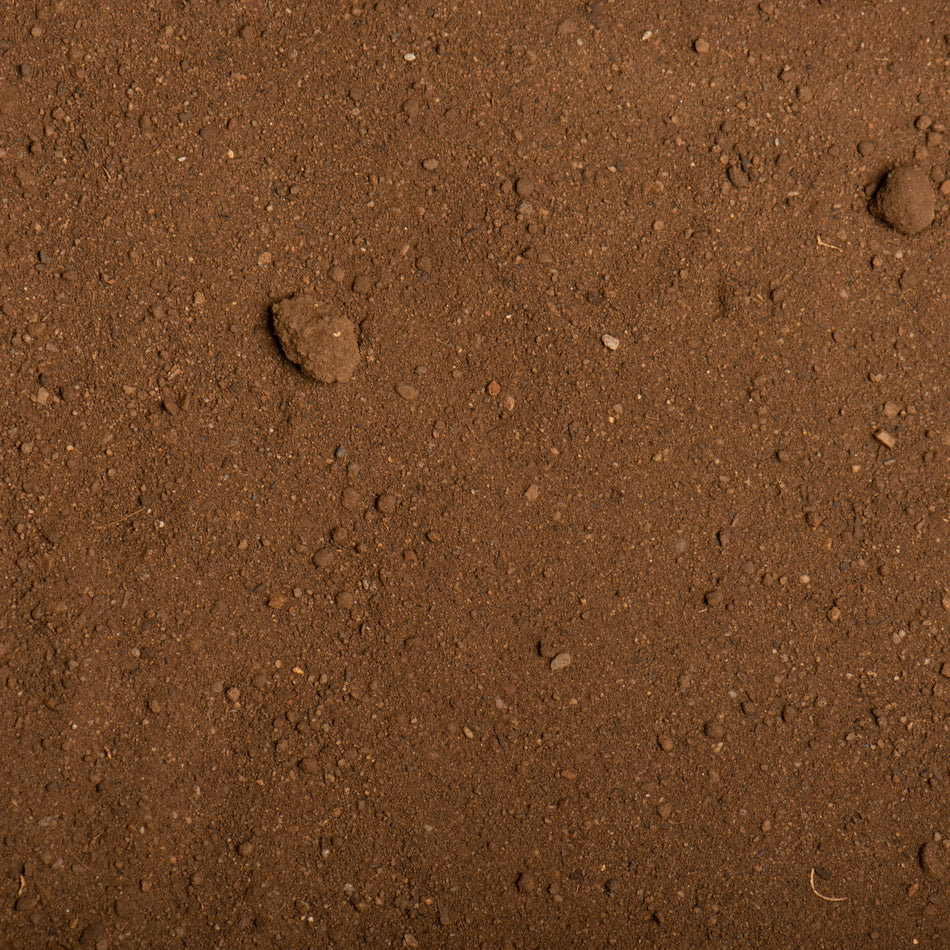 Premium Top Dress Soil