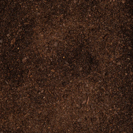 Close-up of dark brown soil texture